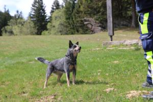 2018 Ausbildungswoche Arber